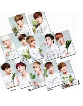 EXO Card Adesivo