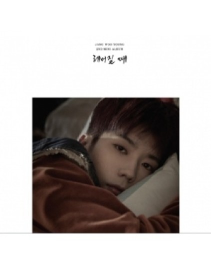 2PM : Jang Woo Young - Mini Album Vol.2 [break up]