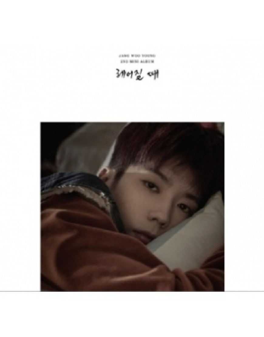 2PM : Jang Woo Young - Mini Album Vol.2 [break up] popup