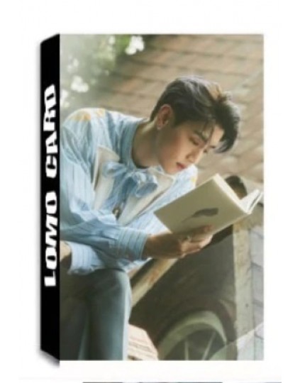 Mark Got7 Lomo Cards