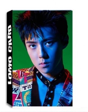 EXO Sehun The Power OF Music Lomo Cards