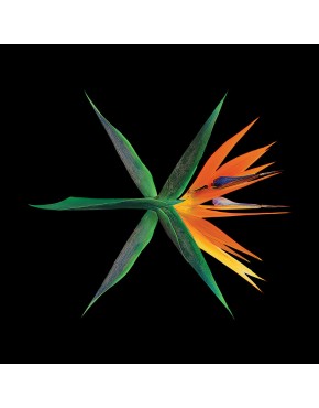 EXO - Album Vol.4 [THE WAR] (Chinese Version) CD