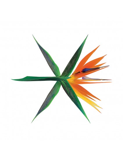 EXO - Album Vol.4 [THE WAR] (Korean Version) CD