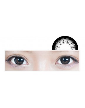 Circle Lense Princess Night - Black