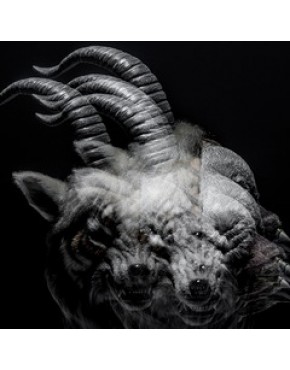 the GazettE- Beautiful Deformity [Regular Edition]