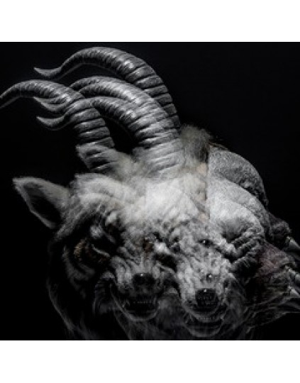 the GazettE- Beautiful Deformity [Regular Edition]