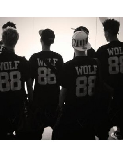 Camiseta Membros EXO XOXO